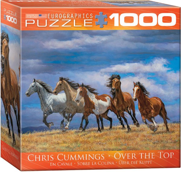 Stádo koní přes vrchol 1000