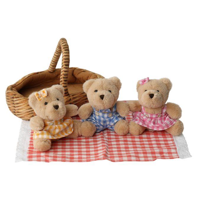 Medvědí piknik - plyšové zvířátko - mini set